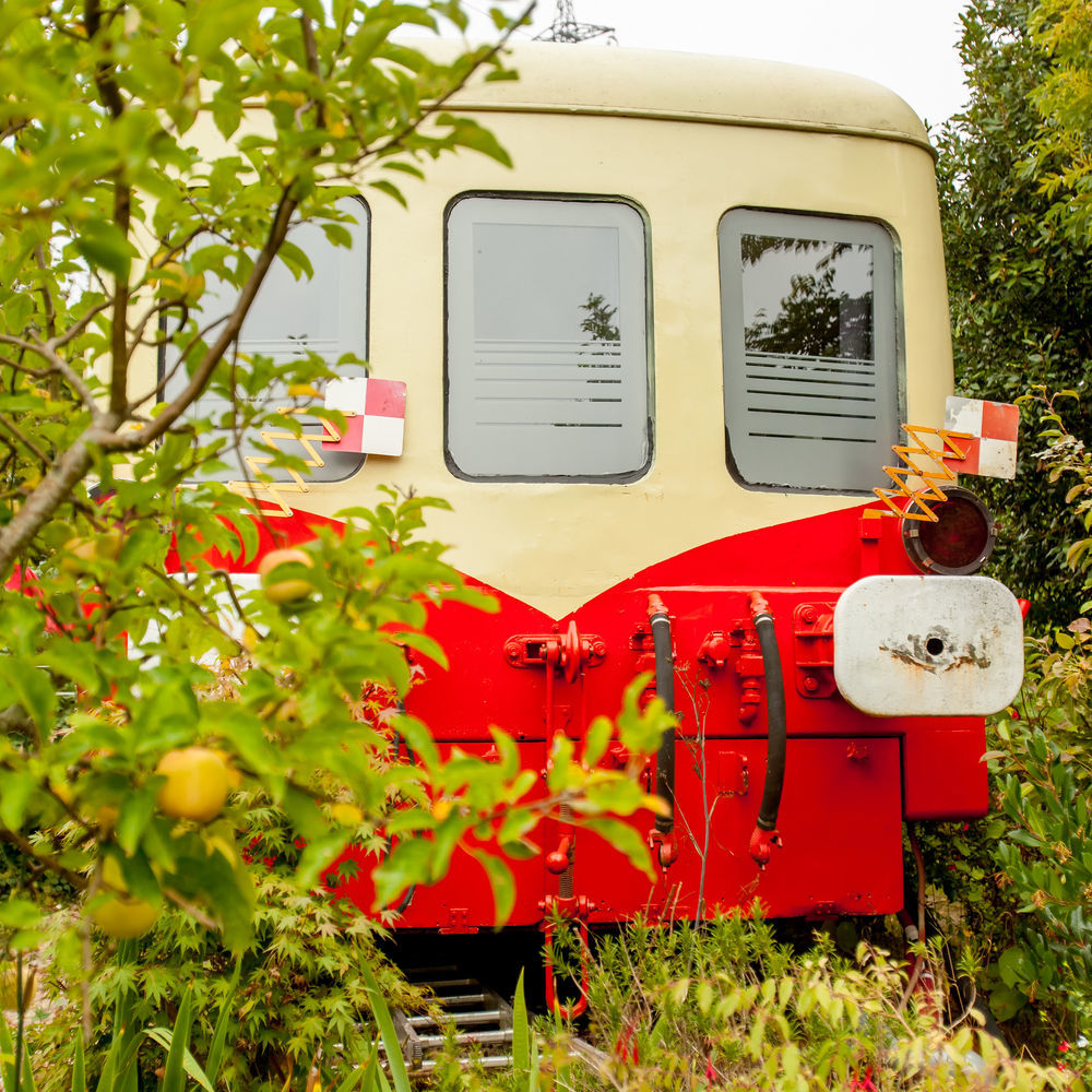 Appartements De L'Auberge Du Chemin De Fer ลาเนสแตร์ ภายนอก รูปภาพ